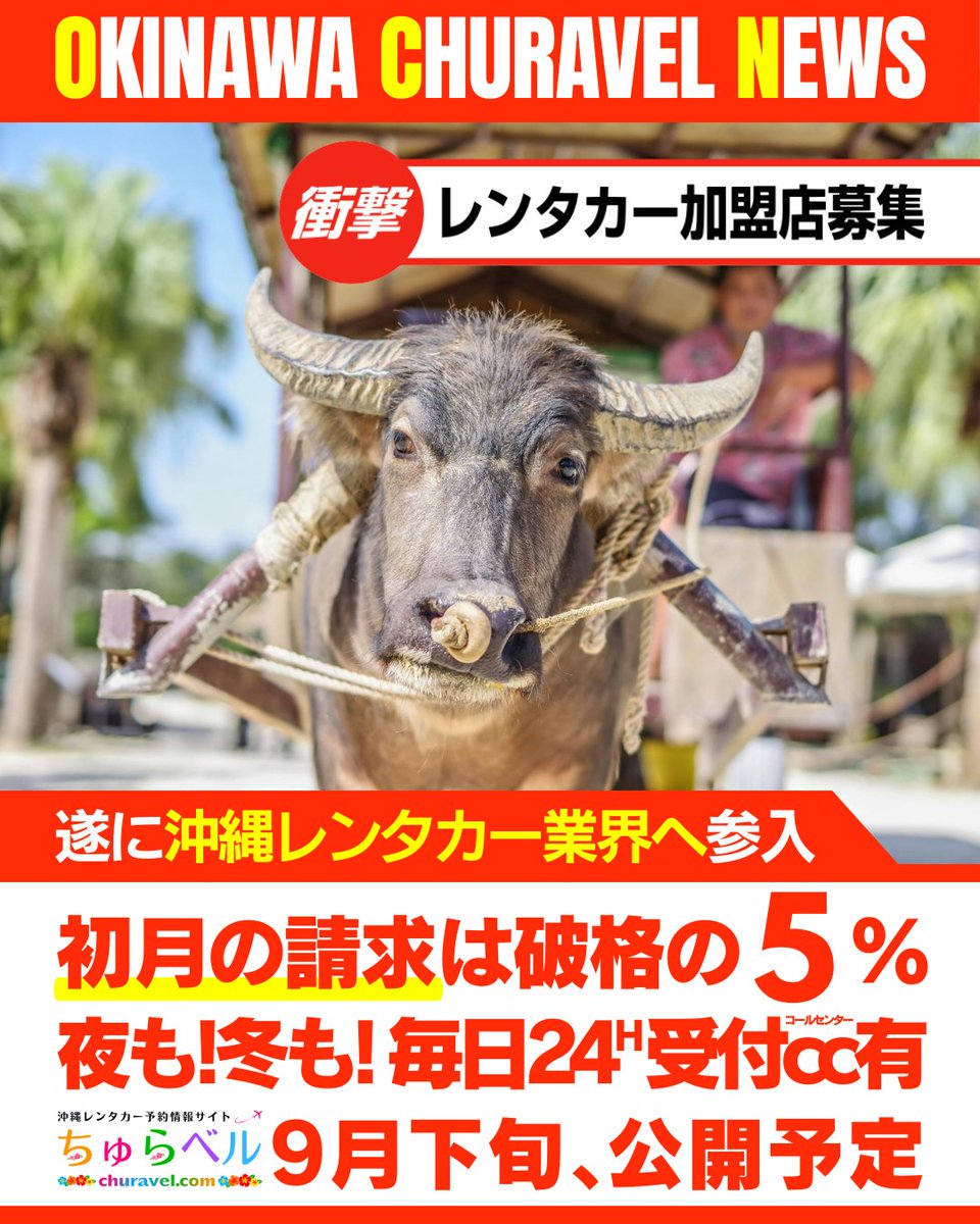 churavelcom's tweet photo. 9月下旬頃の一般公開へ向け、先着30店舗限定で
加盟金「15,000円」になる【第3期募集】の先行申込を受付中♪

https://t.co/wweL3Z7ssf

＝ 先着30店舗限定 ＝
8/31(日) 23:59 申込分まで

#沖縄 #沖縄レンタカー
#沖縄旅行 #レンタカー https://t.co/8SjKo8tjOG