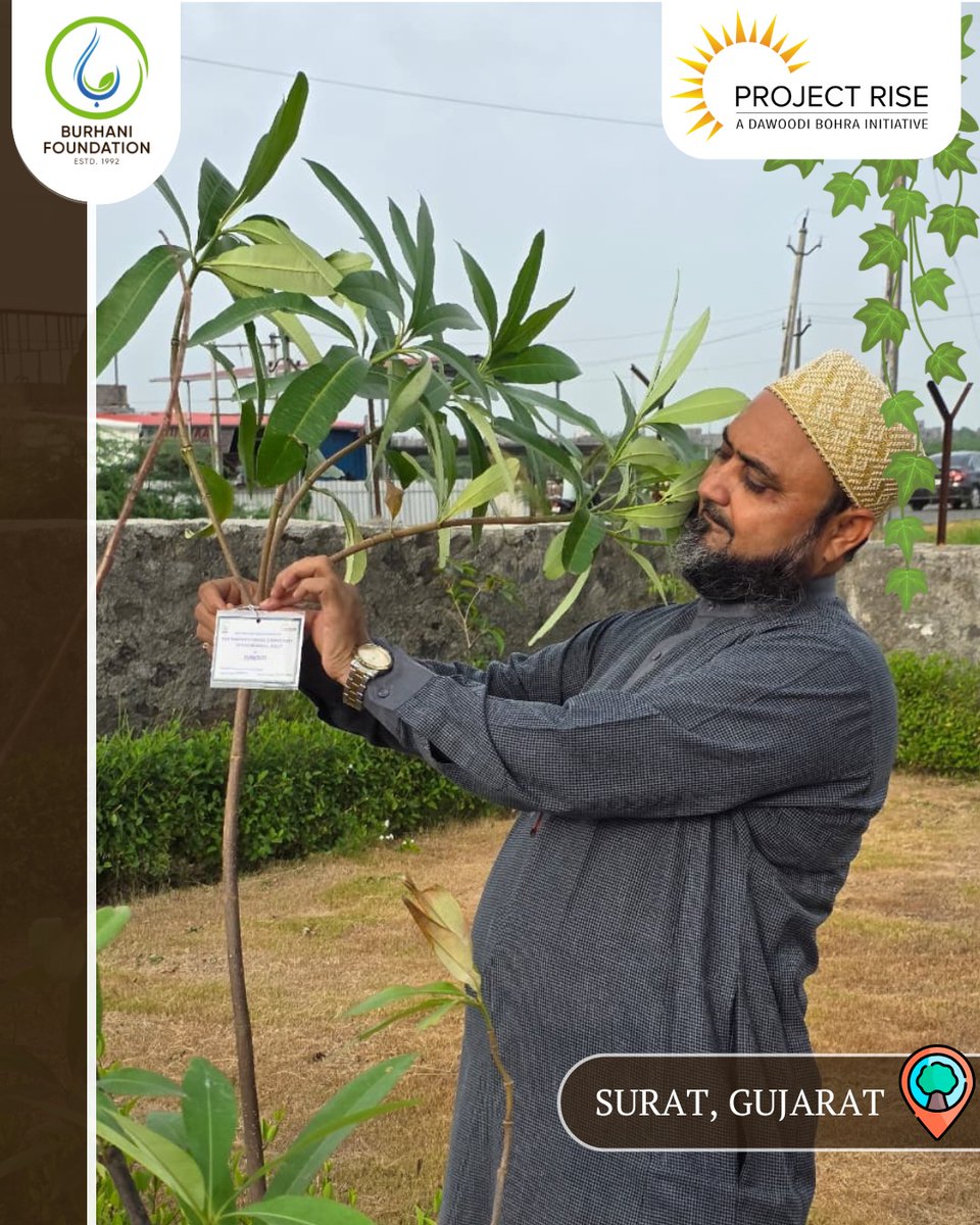 BFI_environment's tweet photo. Our Tree Planting Drive continues to flourish as a nationwide legacy of green. Each tree stands as a symbol of our enduring commitment to protect the environment.
Together with @projectrisedb, we continue to root change.
#PanIndiaTreePlanting #RootsOfJoy #sustainableindia https://t.co/iz3qAKsKZn