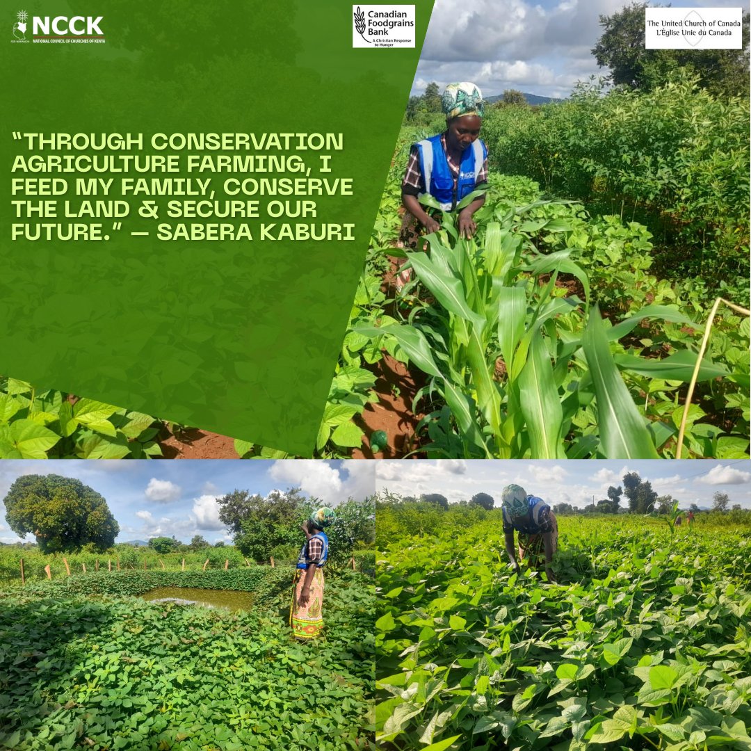 NCCK Upper Eastern (@ncckupper) on Twitter photo 