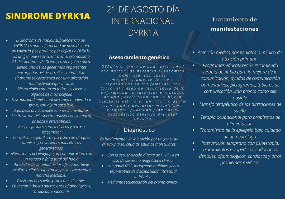 RarasNoInvisibles (@noinvisibles) on Twitter photo Es Día Mundial del Síndrome #Dyrk1A.
Participemos en su campaña de sensibilización para dar visibilidad. #todoscondyrk1a
María Ángeles Alcalá, madre de Irene, primer caso en #España con #síndromeDYRK1A: "Hagamos visible lo invisible”
Con <a href="/albertobart95/">albertbart95</a> en <a href="/20m/">20minutos.es</a>👇 Es Día Mundial del Síndrome #Dyrk1A.
Participemos en su campaña de sensibilización para dar visibilidad. #todoscondyrk1a
María Ángeles Alcalá, madre de Irene, primer caso en #España con #síndromeDYRK1A: "Hagamos visible lo invisible”
Con <a href="/albertobart95/">albertbart95</a> en <a href="/20m/">20minutos.es</a>👇
