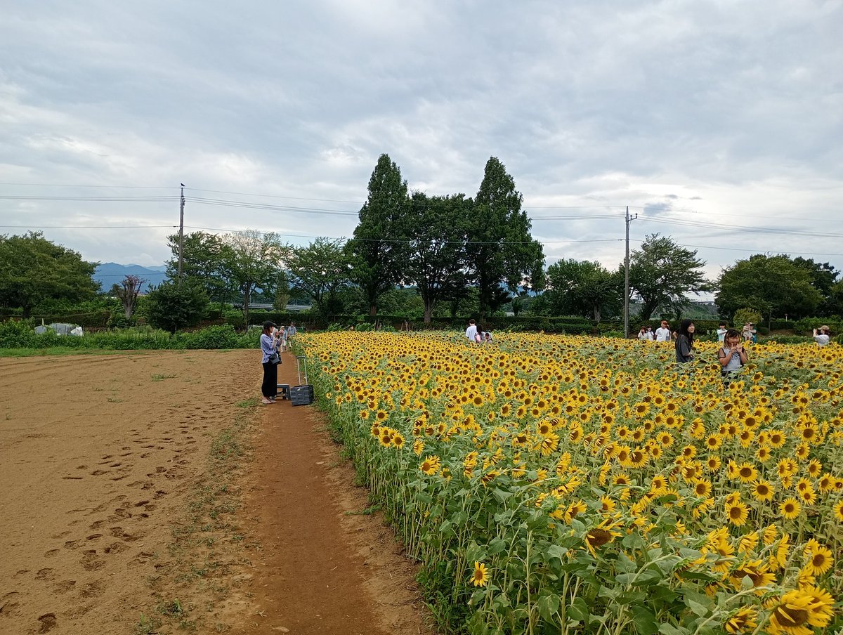 kijitora778's tweet photo. ２週間の夏季休業終了です
やりたかったお勉強も期間内で最大限出来ました。遊んだってよりかは忙しい毎日でした。何を学んだかは機会があればお話しますが、明日からまた営業です
がんばますのでよろしくお願い致します https://t.co/uMX0d9nagl