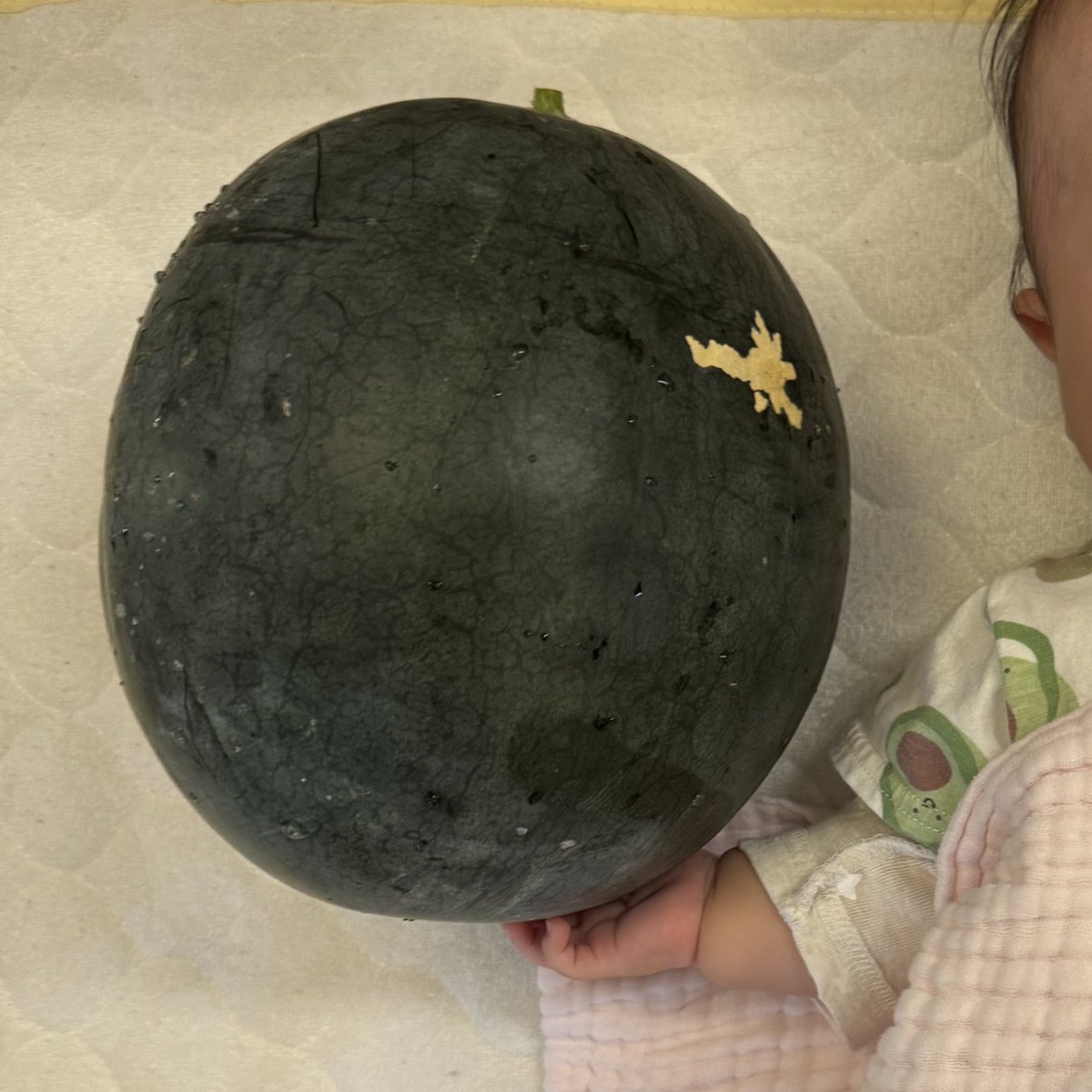 たなっちょ / Hayate TANAKA tweet media