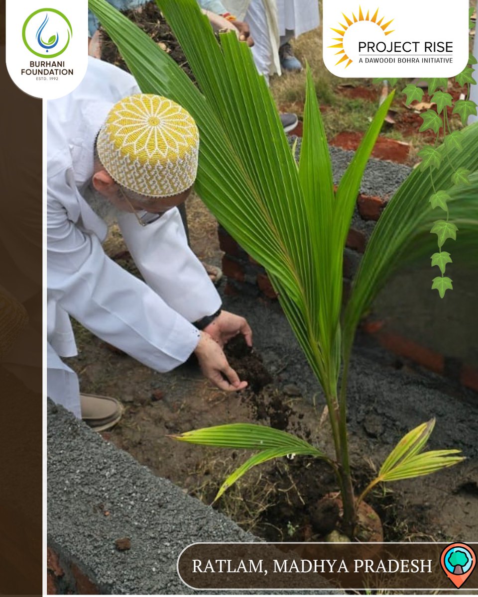 BFI_environment's tweet photo. Our Tree Planting Drive continues to flourish as a nationwide legacy of green. Each tree stands as a symbol of our enduring commitment to protect the environment.
Together with @projectrisedb, we continue to root change.
#PanIndiaTreePlanting #RootsOfJoy #sustainableindia https://t.co/iz3qAKsKZn