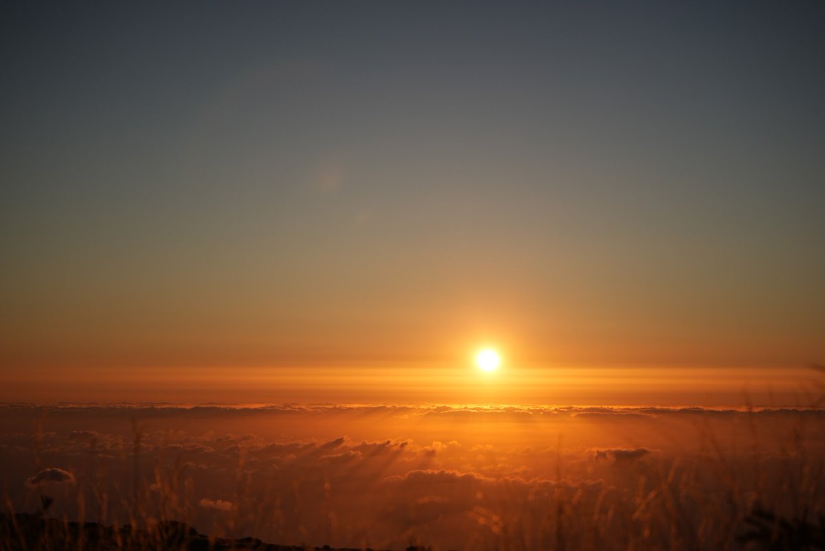 Damien Guillard tweet media