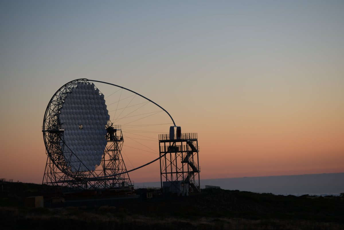 Damien Guillard tweet media