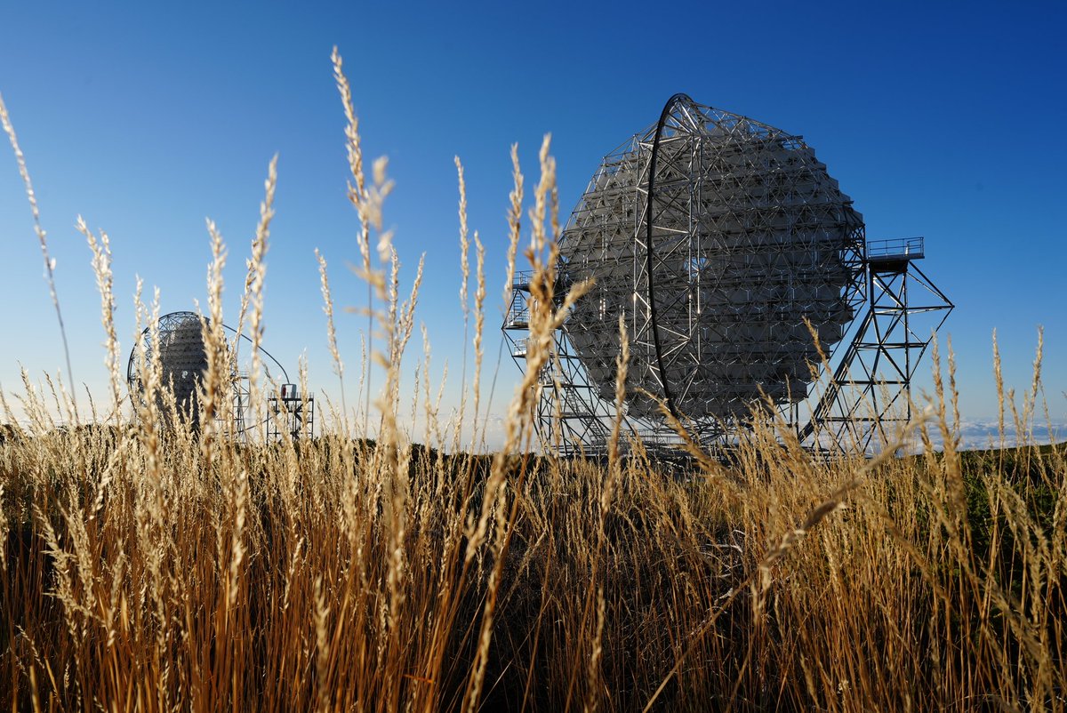 Damien Guillard tweet media