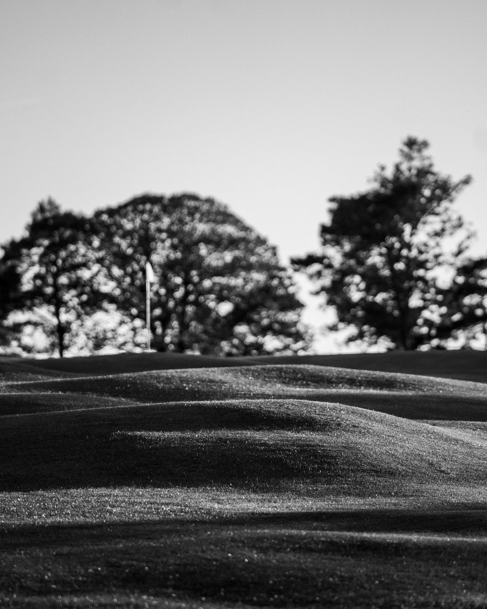 For the first time in years, black and white photos taken today are starting to resemble how the course looked a century ago — a sight that would no doubt bring a smile to the faces of Harry Colt and J.F. Abercromby.