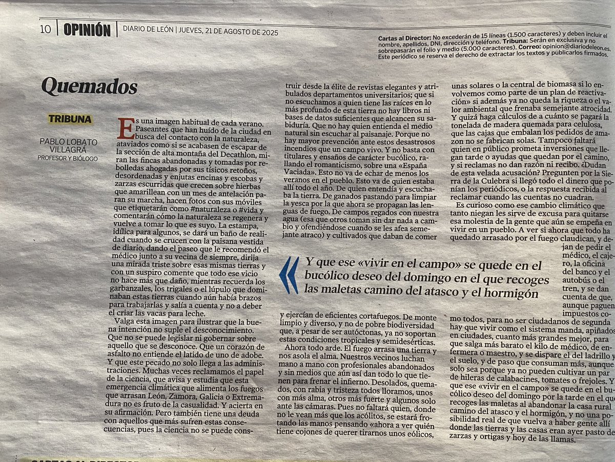 Virginia Carracedo Martín tweet media