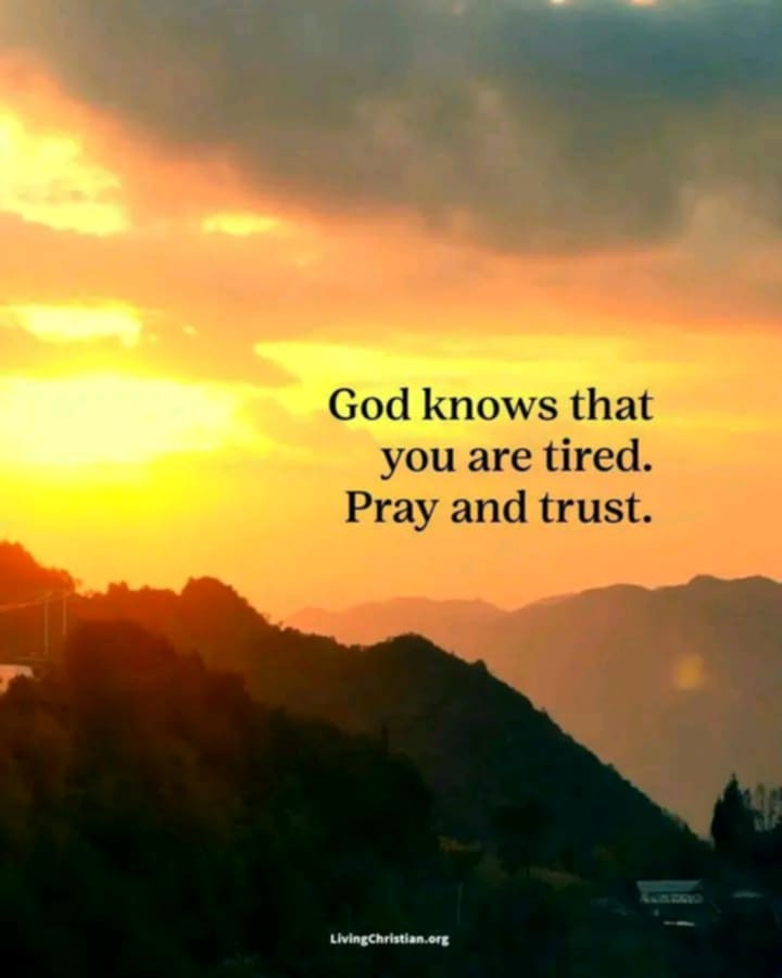 Mia Comia (@comiamia03) on Twitter photo 