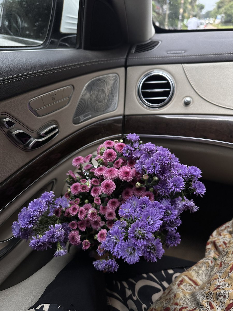 nida_febin's tweet image. 🌸🪻