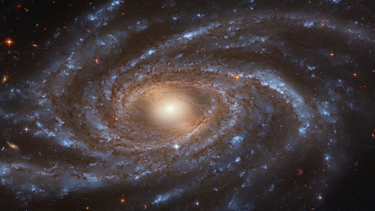 宇宙の流れに乗った感じになると、シンクロがものすごい。というか全ては繋がっているんだから、そもそもシンクロしかないという事に気づく。それをゆがめているのは他ならぬ自分自身であった。