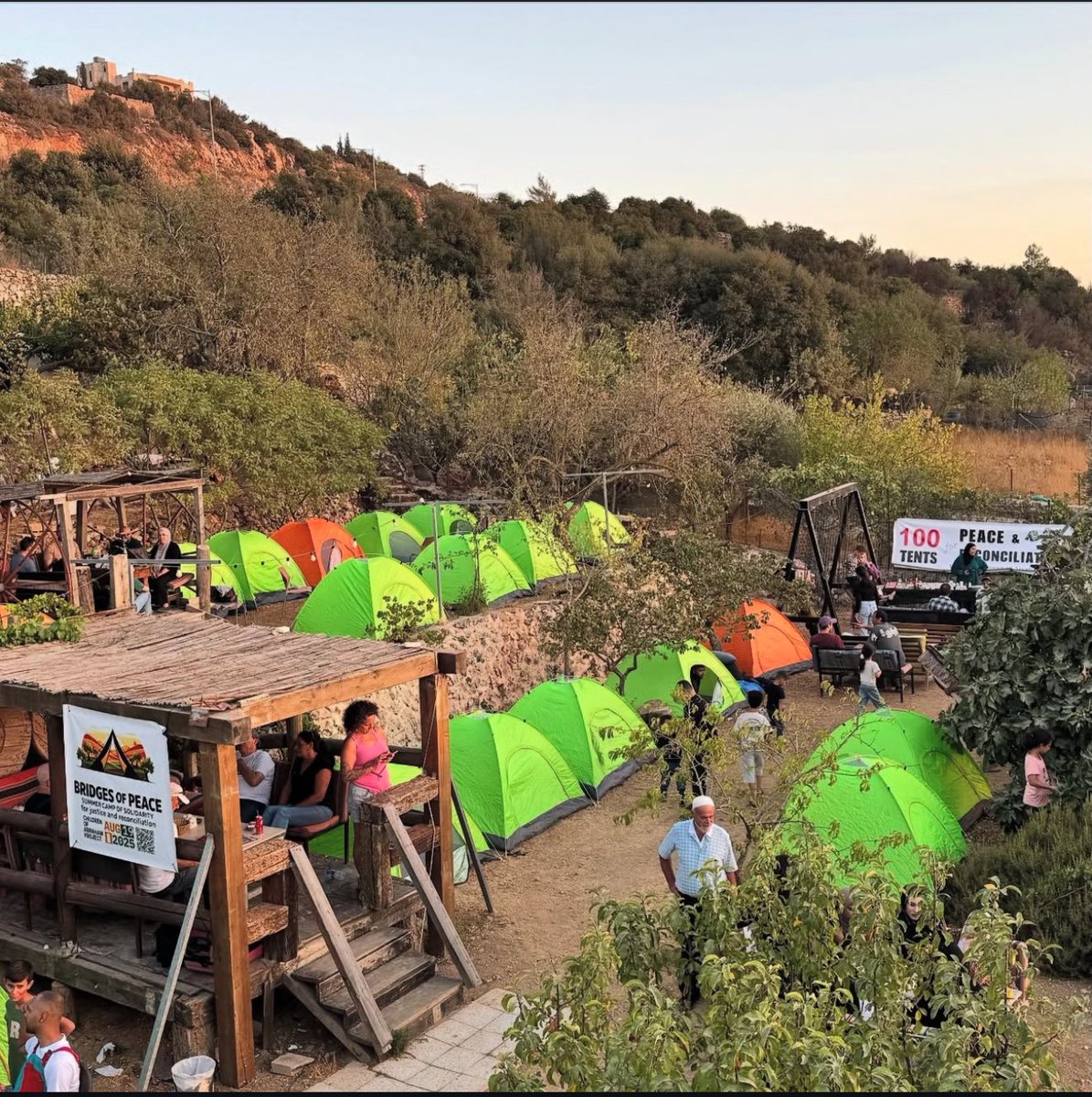 Adar Weinreb tweet media