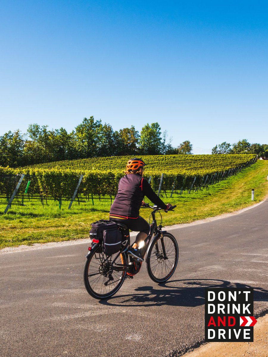 Bei einer Radtour auf der Weinstraße oder beim Ausflug ins Bierzelt: Wer fährt, bleibt natürlich nüchtern.