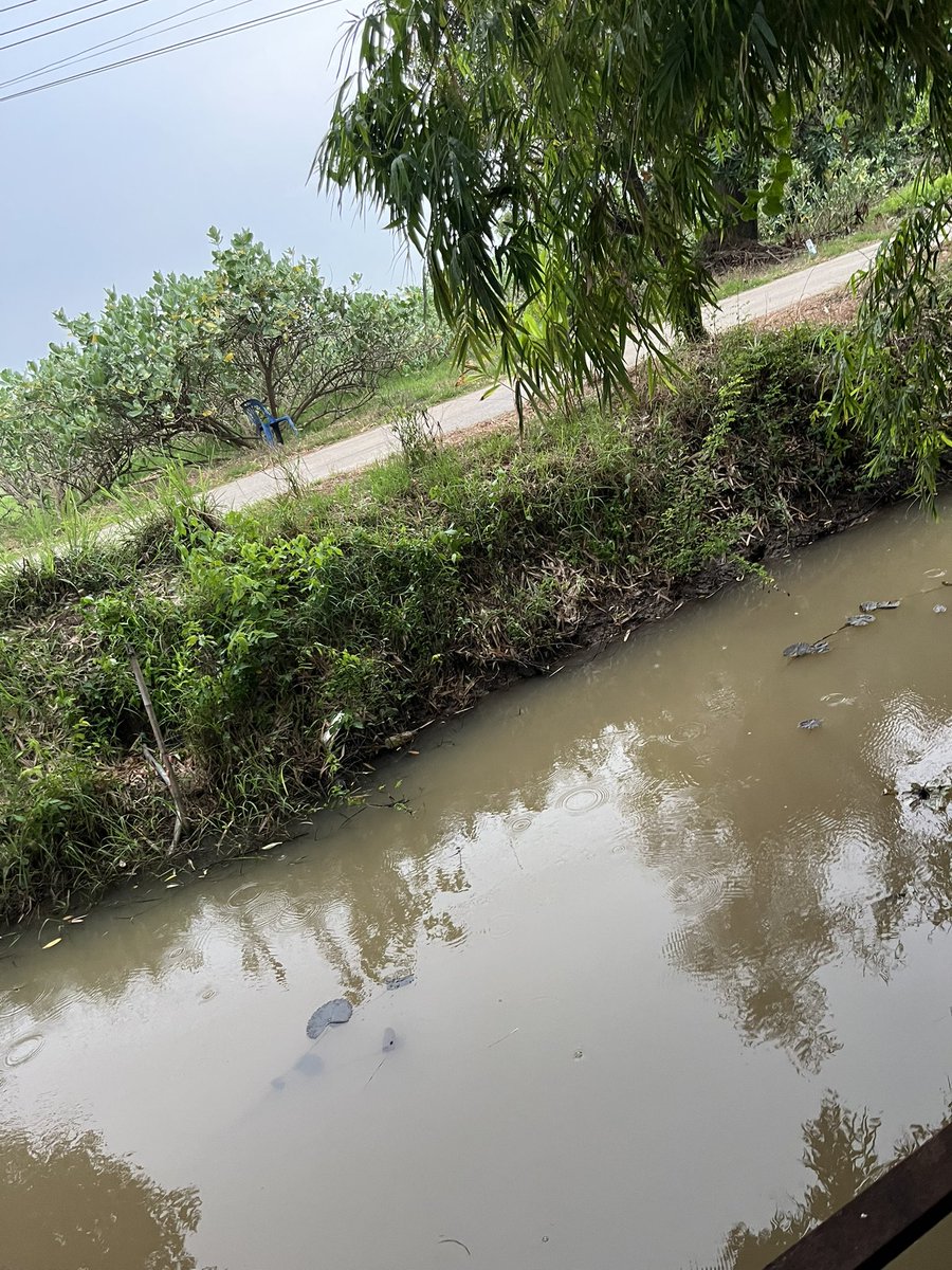 ฝนตกอากาศดีดี