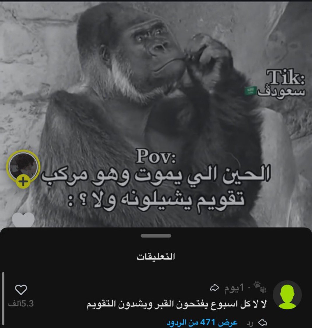 𝑫𝒆𝒄𝒂𝒏𝒐🇸🇦 (@decano_8) on Twitter photo 
