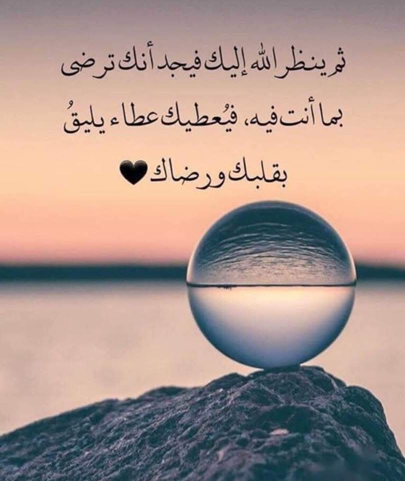 د/ أميرة صلاح الدين (@admamira) on Twitter photo 