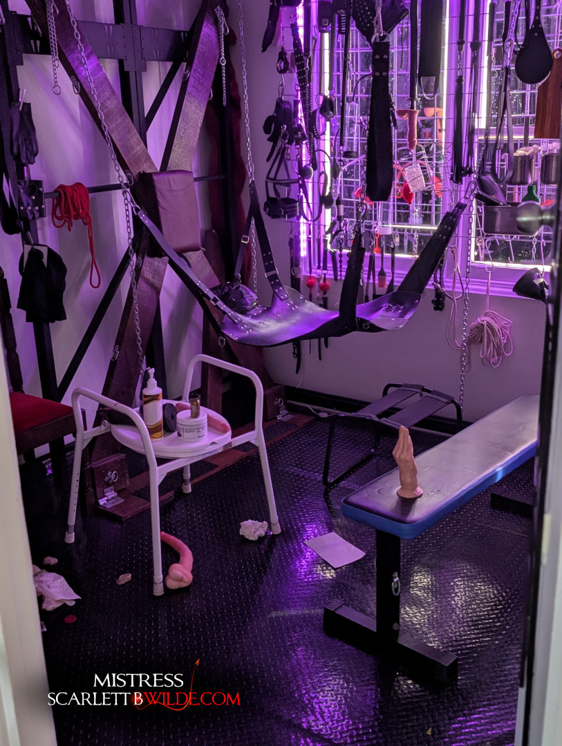 Mistress B Wilde tweet media