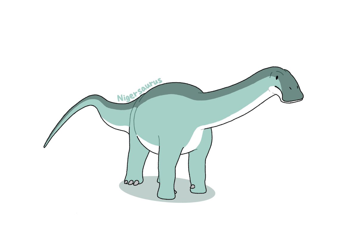 Dino55313051's tweet photo. ニジェールサウルス
#ニジェールサウルス #Nigersaurus https://t.co/xQUhPBCElI