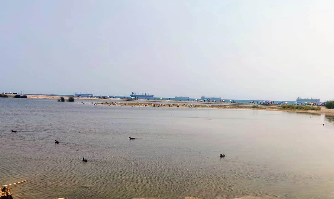 ¿De verdad no es posible regular el tráfico de los grandes cargueros de yeso que fondean durante días en las costas de Vera hasta recalar en Garrucha?  🚢 ¿De verdad es en pleno verano cuando mayor actividad hay en las canteras, impactando con contaminación, polvo y tráfico?