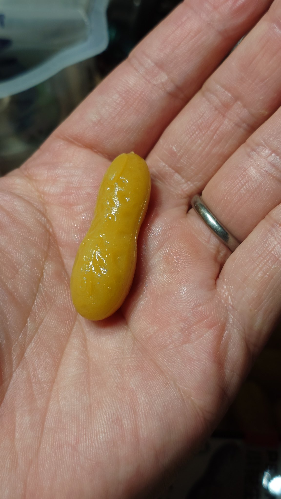 千本ドリィ (@VrCo8GsplDWC0wy) / X