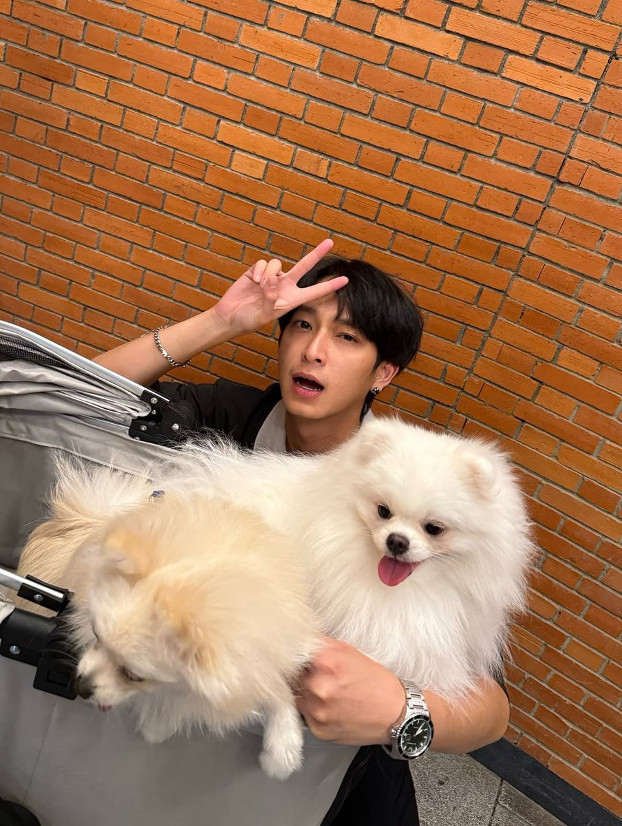 210825
Papa brought the puppies out to see the world 😍💛

cr. igs pet.carsxr 
#ruangwiwatfamily   
#ChimonWachirawit 
#ชิม่อนไงจะใครหล่ะ