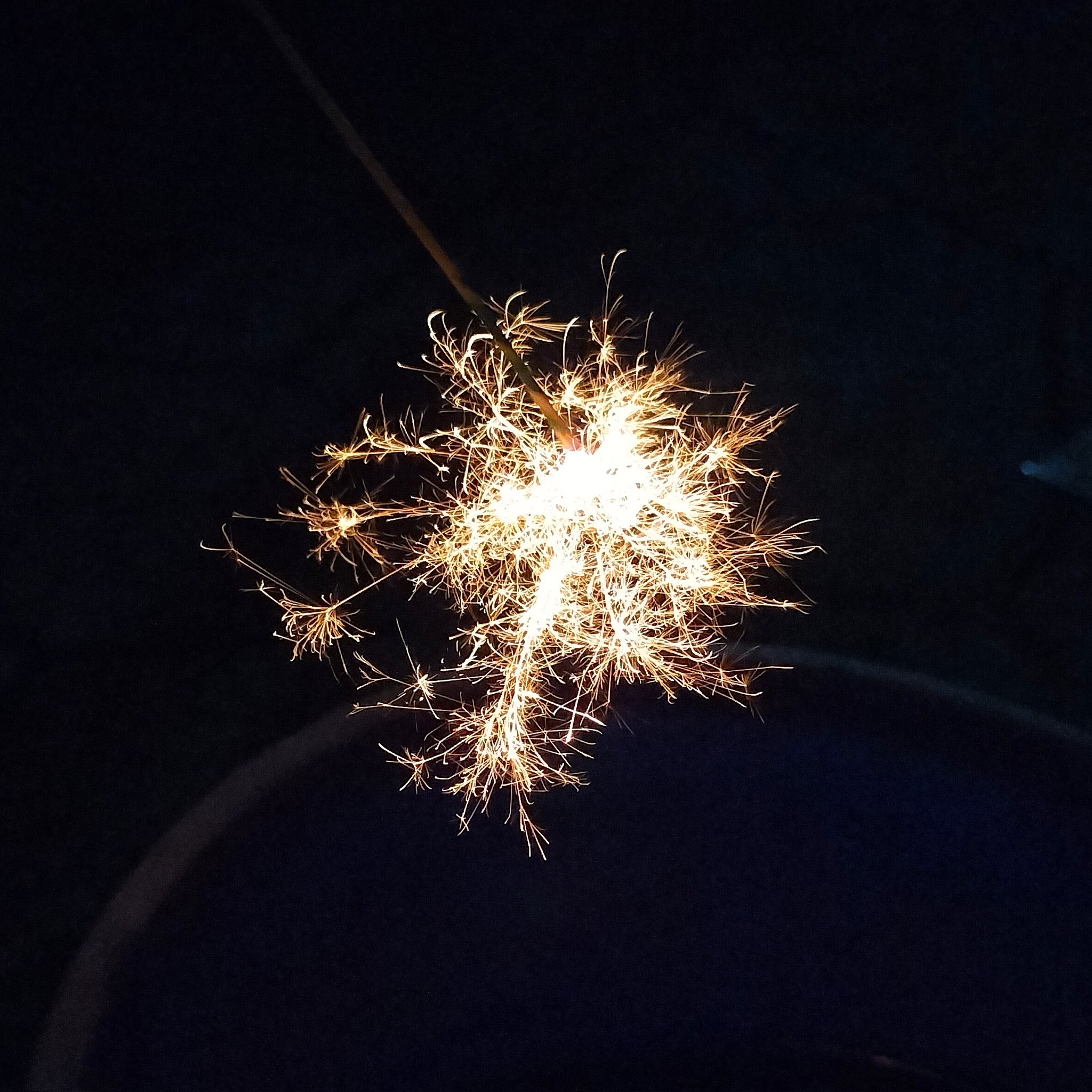 SONY - 線香花火 線香花火 （高速度撮影） Toy fireworks (High-speed