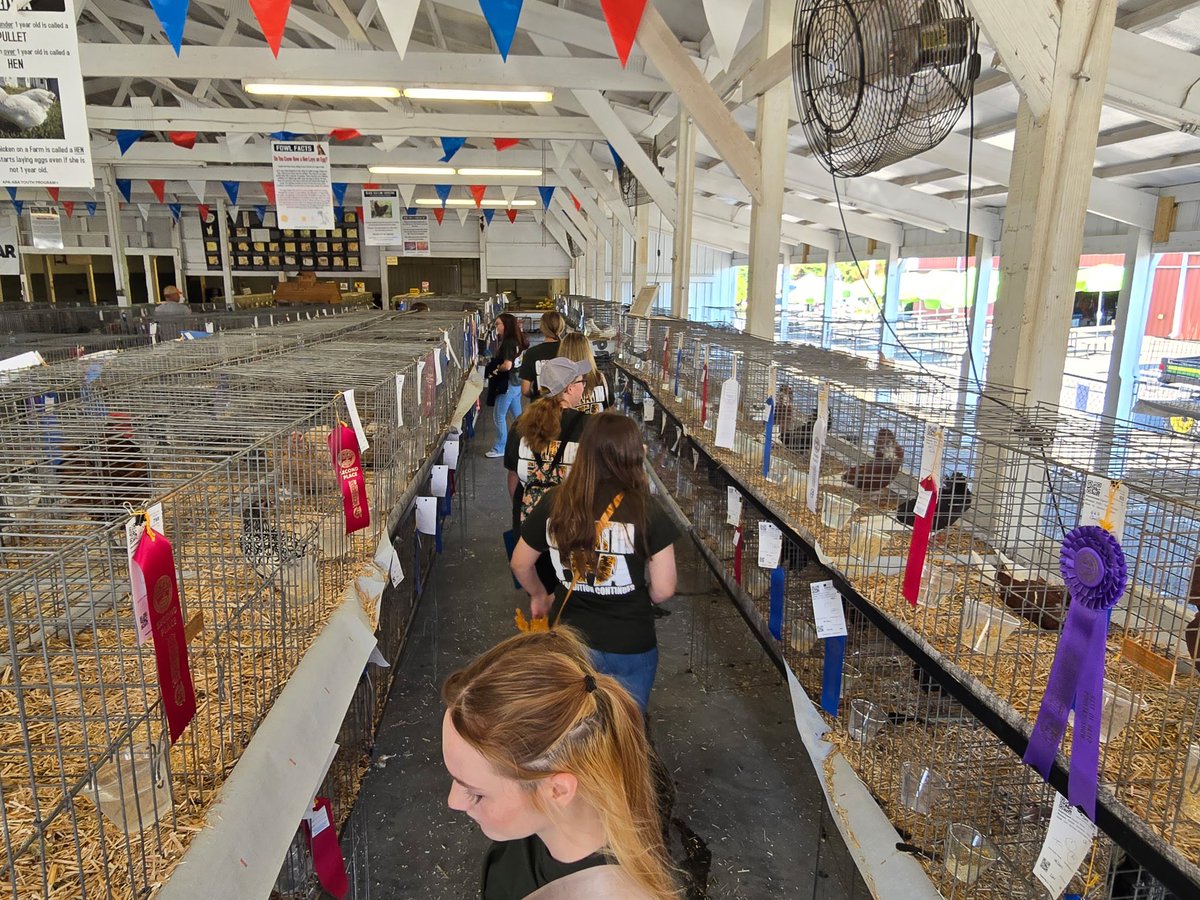 On Monday, members from our chapter went to the <a href="/TNStateFair/">Wilson County TN State Fair</a> ! We had 6 members compete in 4 contest. We also walked around and explored other areas at the fair! 

Floral Design- Aislinn and Hailey 
Meats- Cassie 
Vet Science- Gracie and Hannah
Prepared Public Speaking- Bailey