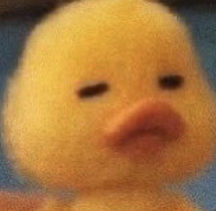 PpvLuna's tweet image. He&apos;s literally 😆: