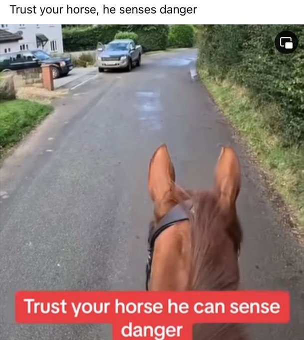 horse (archived) (@rllyhungryhorse) on Twitter photo 