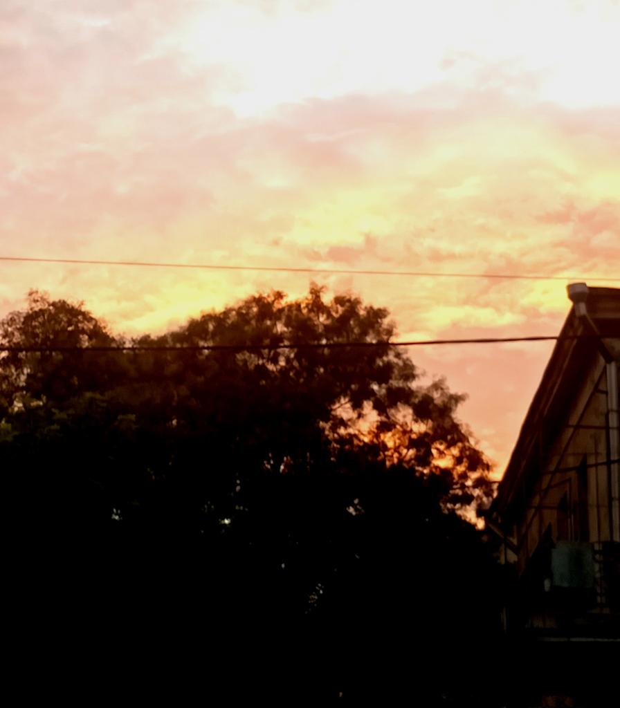 Катерина Галич tweet media