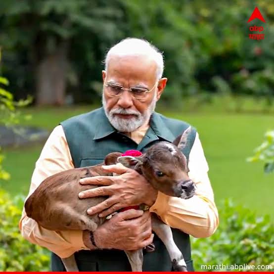 <a href="/narendramodi/">Narendra Modi</a> जी सच क्या है? ये जो इस तस्वीर में दिख रहा है वो? या जो आपकी <a href="/BJP4India/">BJP</a> <a href="/BJP4Delhi/">BJP Delhi</a> <a href="/gupta_rekha/">Rekha Gupta</a> <a href="/RekhaGuptaDelhi/">Delhi</a> सरकार कर रही है वो???
इतना तो जवाब देना बनता है प्रधान सेवक का?? आखिर हम ने आपको वोट दिए हैं 🙏🏻
#SaveDelhiNCRDogs
#SaveDelhiDogs
#savedelhincrdogs2025