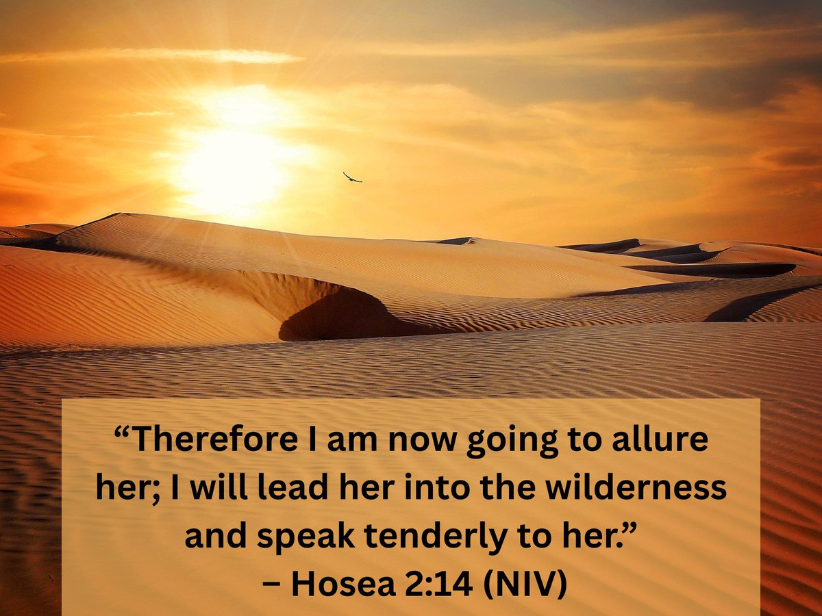 In the wilderness, the heart learns to listen.
Without the noise of the world,
God’s whisper sounds like thunder.