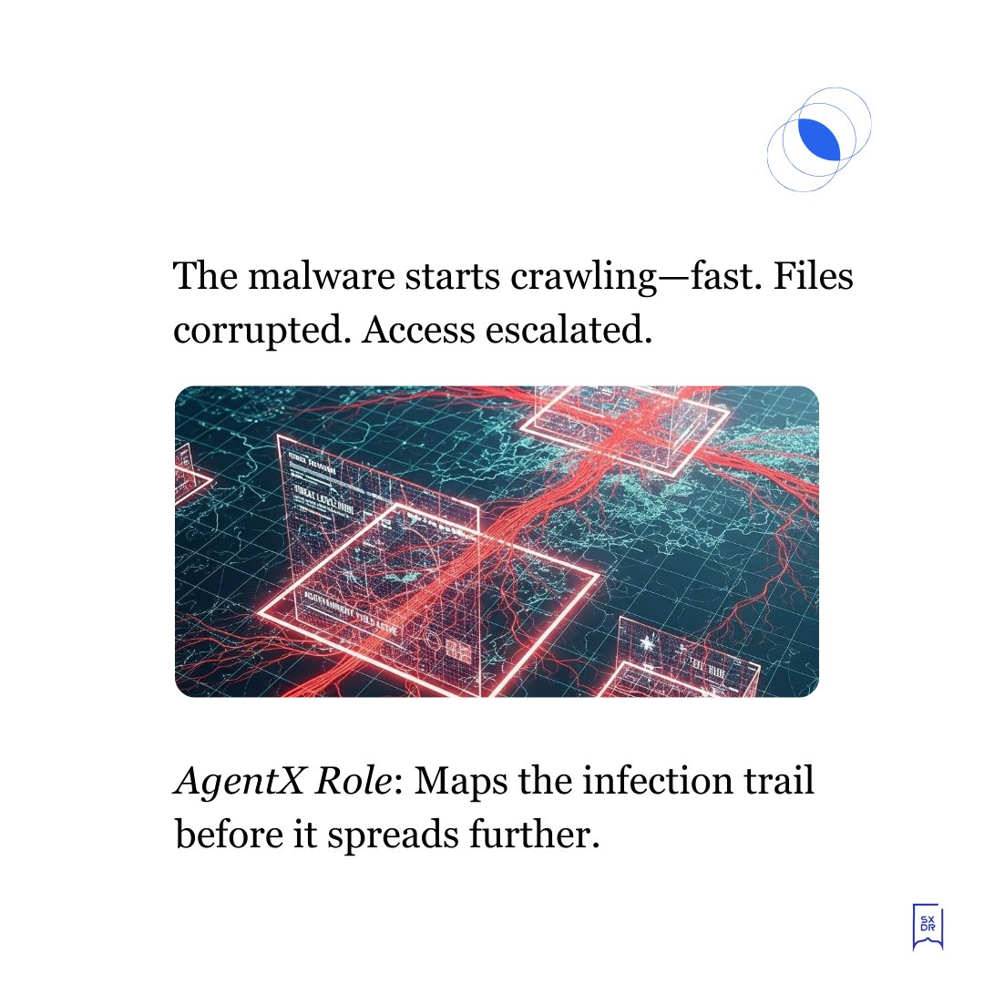 SupportXDR tweet media