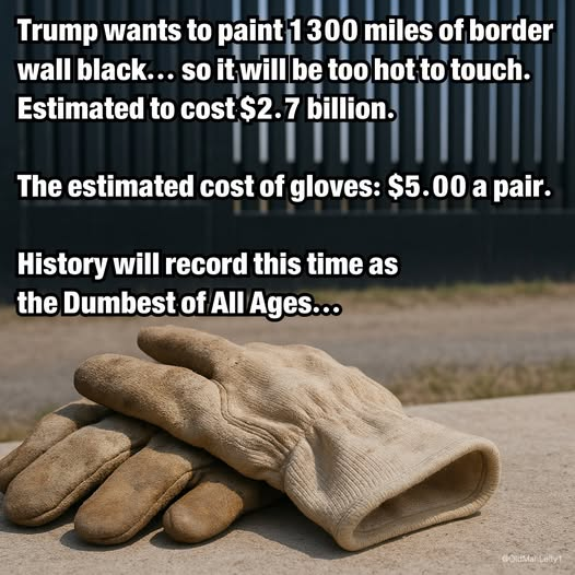 Republicans cut Medicaid by 800 million and used it to buy black paint. 🙄