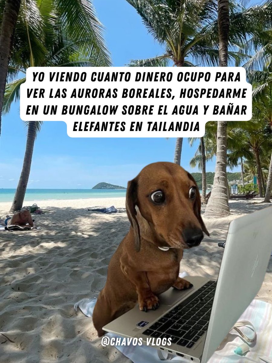chavosvlogs's tweet photo. 😅 Mejor no 😂
#Viajes 
#Tendencia https://t.co/zQxUNo65rI
