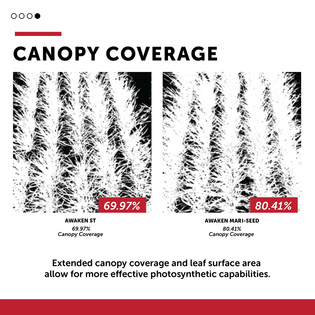A NEW WAVE OF SEED TREATMENT HAS ARRIVED!🌾 

AWAKEN MARI-SEED™ is your fall wheat’s first line of defense against stress — with balanced micronutrients + bioactive compounds for a stronger start.

💪 Plant with confidence.🔗 Learn more: lovelandproducts.com/products/seed-…