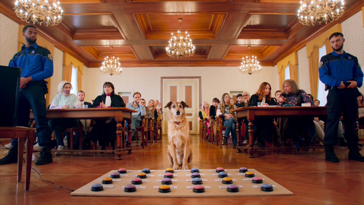 ¿Que estás viendo? (@queestasviendo_) on Twitter photo El perro más famoso de Cannes llega a México.
EL JUICIO DE UN PERRO, ópera prima de Laetitia Dosch, estrena este 4 de septiembre en <a href="/CinetecaMexico/">Cineteca Nacional</a> y salas comerciales.
Una sátira sobre justicia, poder y lo que significa ser humano.
#ElJuicioDeUnPerro #PalmDog <a href="/TulipPicturesmx/">Tulip Pictures</a> El perro más famoso de Cannes llega a México.
EL JUICIO DE UN PERRO, ópera prima de Laetitia Dosch, estrena este 4 de septiembre en <a href="/CinetecaMexico/">Cineteca Nacional</a> y salas comerciales.
Una sátira sobre justicia, poder y lo que significa ser humano.
#ElJuicioDeUnPerro #PalmDog <a href="/TulipPicturesmx/">Tulip Pictures</a>