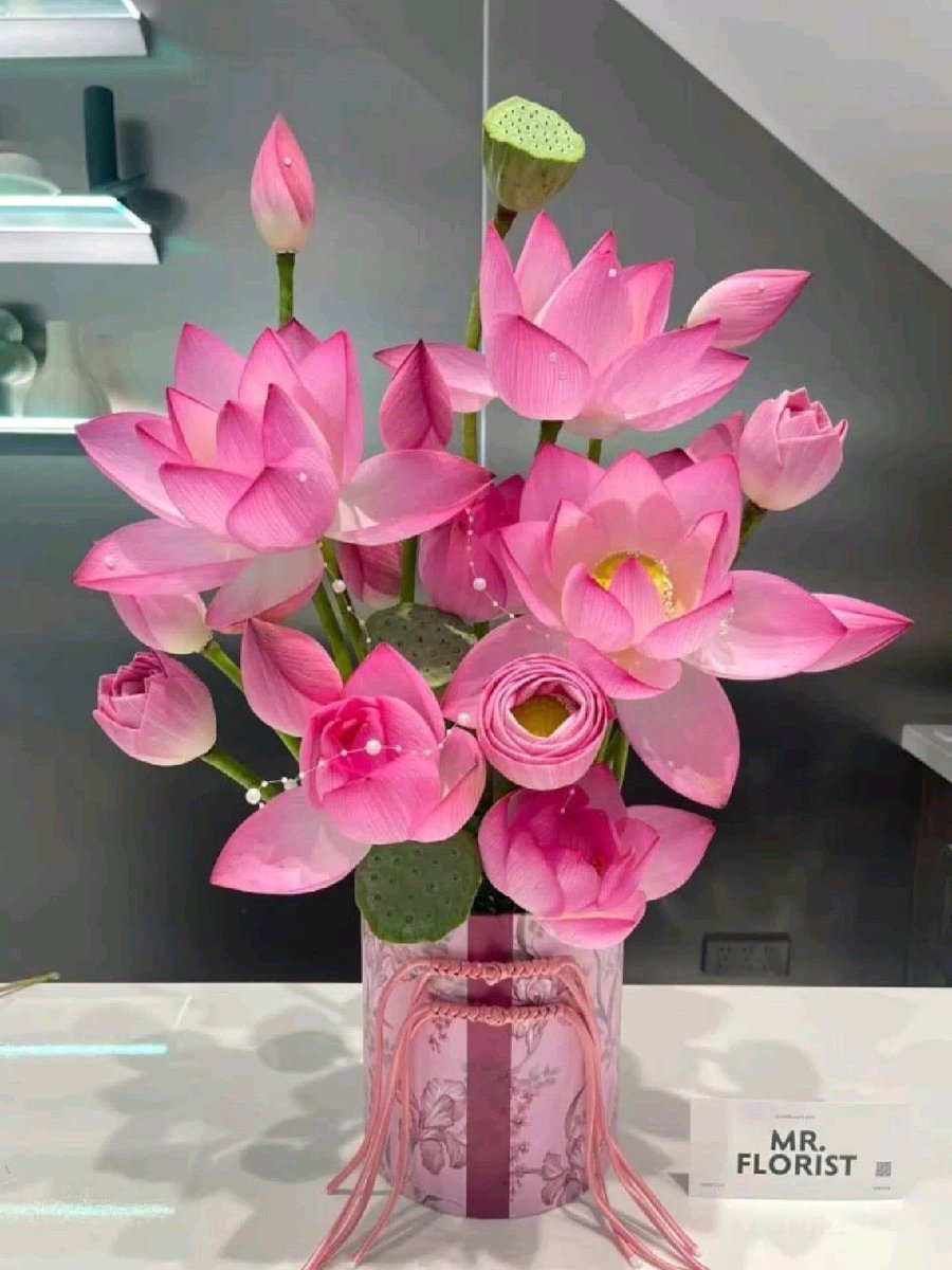 i3Moment's tweet photo. Lotus 🪷 https://t.co/SbznNlnjRL