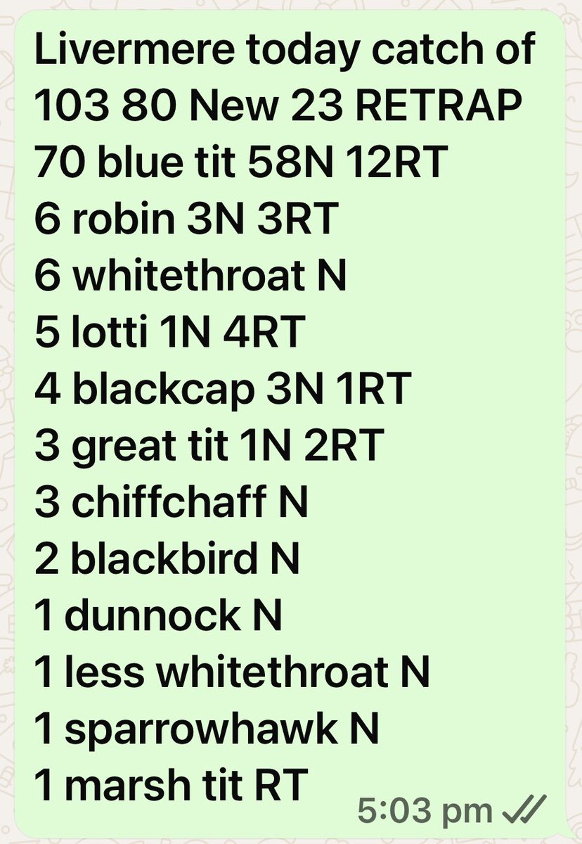 barry woodhouse (@digiscoper) on Twitter photo Ringing today at my scrubland site total catch of 103 site record catch of 70 blue tit
The sparrowhawk was impressive to <a href="/GrahamDenny9/">Graham Denny</a> <a href="/Rice1John/">John Rice</a> <a href="/trochytracker/">John Walshe</a> <a href="/BTO_Suffolk/">BTO Suffolk</a> Ringing today at my scrubland site total catch of 103 site record catch of 70 blue tit
The sparrowhawk was impressive to <a href="/GrahamDenny9/">Graham Denny</a> <a href="/Rice1John/">John Rice</a> <a href="/trochytracker/">John Walshe</a> <a href="/BTO_Suffolk/">BTO Suffolk</a>