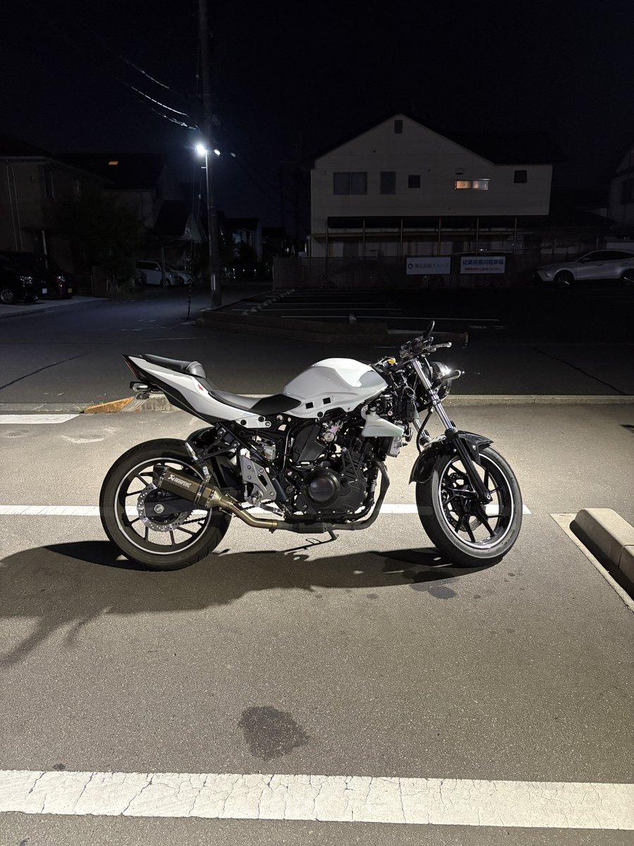 紆余曲折ありまして、gsx250rネイキッド化しました！（フェンダーレス 