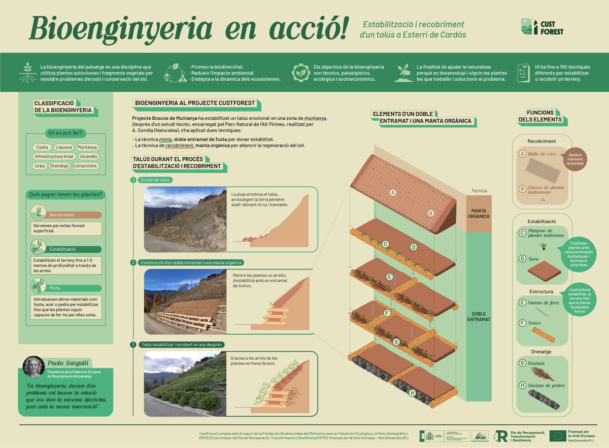 Arrel de la nostra última publicació sobre la infografia de la tortuga mediterrània heu arribat unes quantes persones noves ☺️ Aquí hi trobareu custòdia forestal, gestió, economia local i biodiversitat. Ah! I si us va agradar la infografia, en tenim 3 més (i una altra en res)! 💚