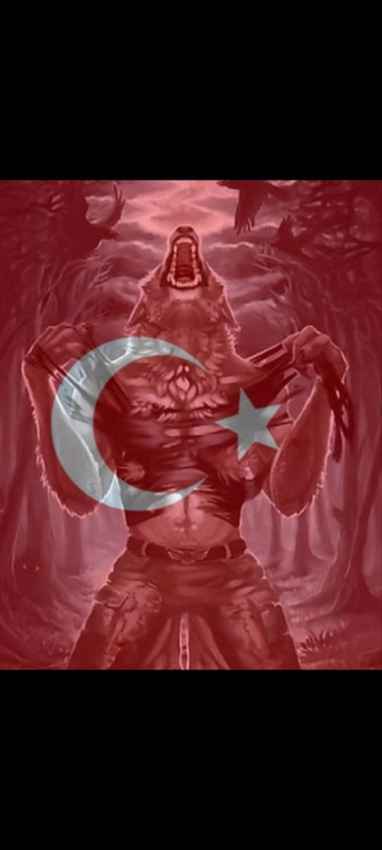 Katon40's tweet photo. @tuurqoise 🇹🇷🐺🇹🇷🇹🇷🐺🇹🇷🐺🇹🇷🐺🇹🇷🐺🇹🇷🐺🇹🇷🐺🇹🇷🐺🇹🇷🐺🇹🇷🐺🇹🇷 https://t.co/4SIkufSNlF