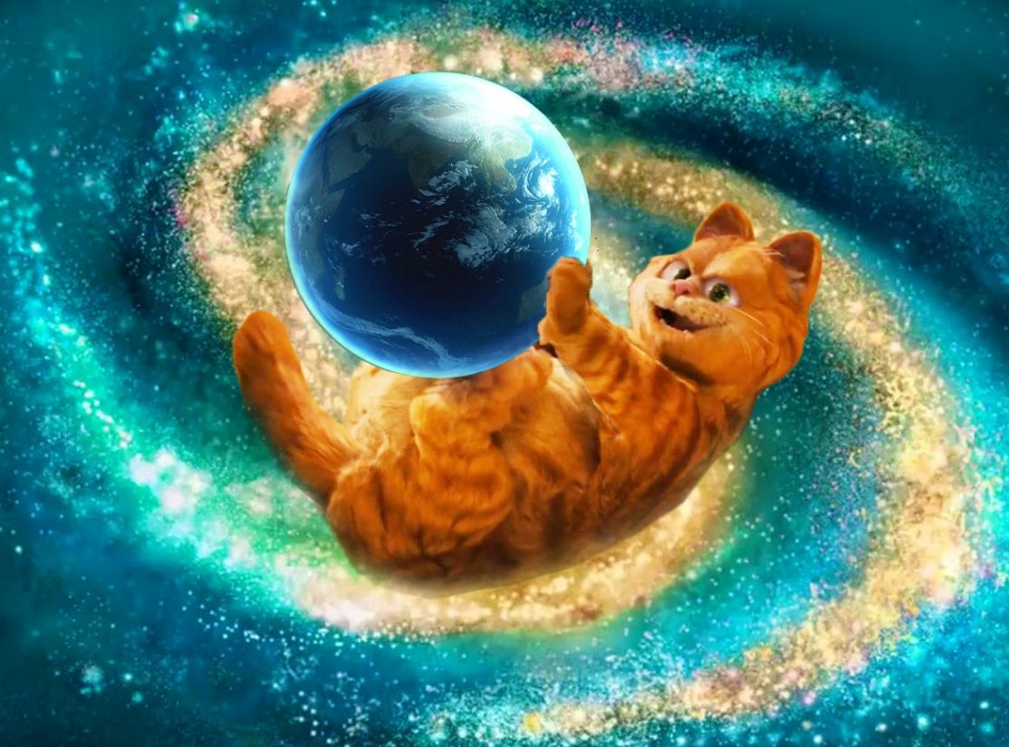 Катовыя бусины пади..