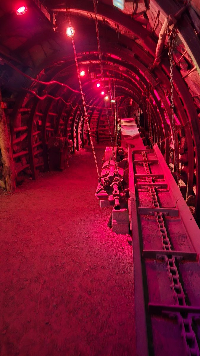 Sarah Bosworth (@sazboz) on Twitter photo 