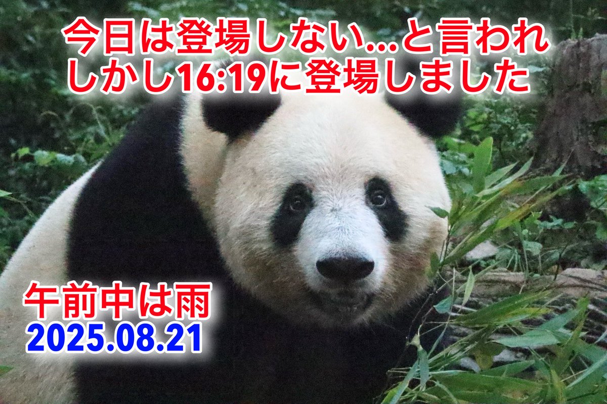 2025.08.21
#シャンシャン 

youtu.be/sl8UeEvQH3E?si…