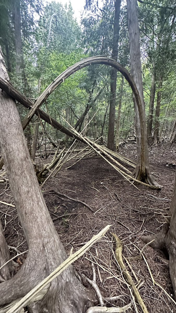 I’ll be speaking at Gatineau Ottawa Sasquatch Conference (in Gatineau) this Saturday around 9am. It’s being out on by the Eastern Canada Sasquatch Orgnaisation, run by Sabine Blais. It’ll be a great time!