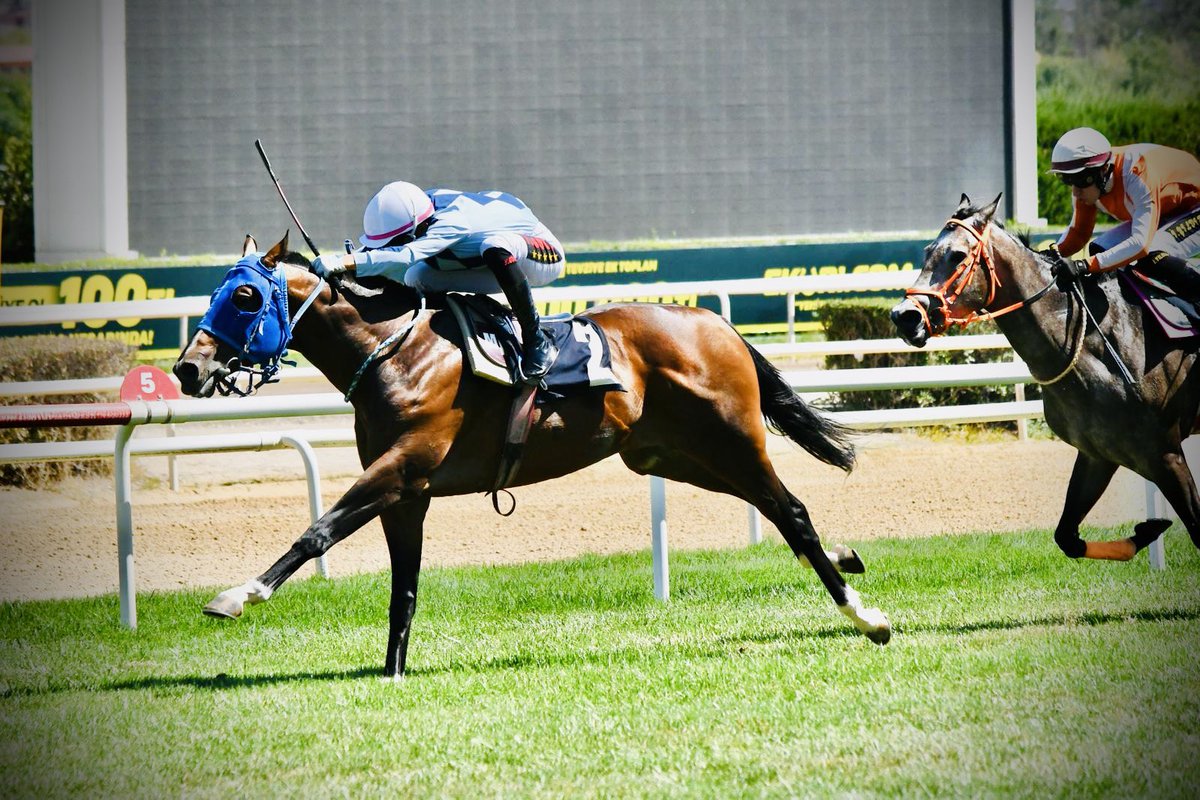 Yiigiitgkc_'s tweet image. Bugün Ankara’da çıktığım iki yarışımı da kazanarak, bu pistte iki yarışta iki birincilik elde ettim. 🏆✨ İlk kez çıktığım Ankara pistinde bu başarıyı yaşamak benim için çok özeldi .
Destekleri için Sait Kan ve Şefik Aydemir’e teşekkür ederim. 🙏#ahmetgökçe#
