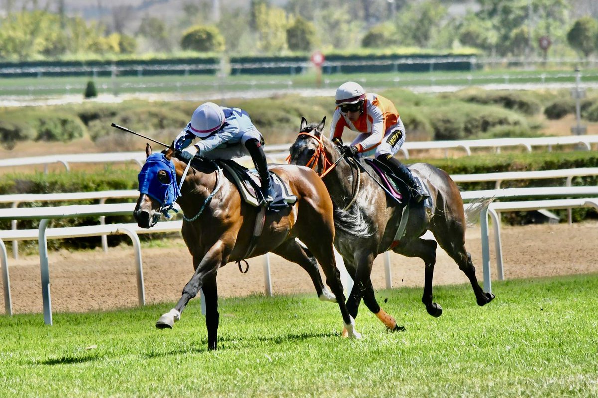 Yiigiitgkc_'s tweet image. Bugün Ankara’da çıktığım iki yarışımı da kazanarak, bu pistte iki yarışta iki birincilik elde ettim. 🏆✨ İlk kez çıktığım Ankara pistinde bu başarıyı yaşamak benim için çok özeldi .
Destekleri için Sait Kan ve Şefik Aydemir’e teşekkür ederim. 🙏#ahmetgökçe#