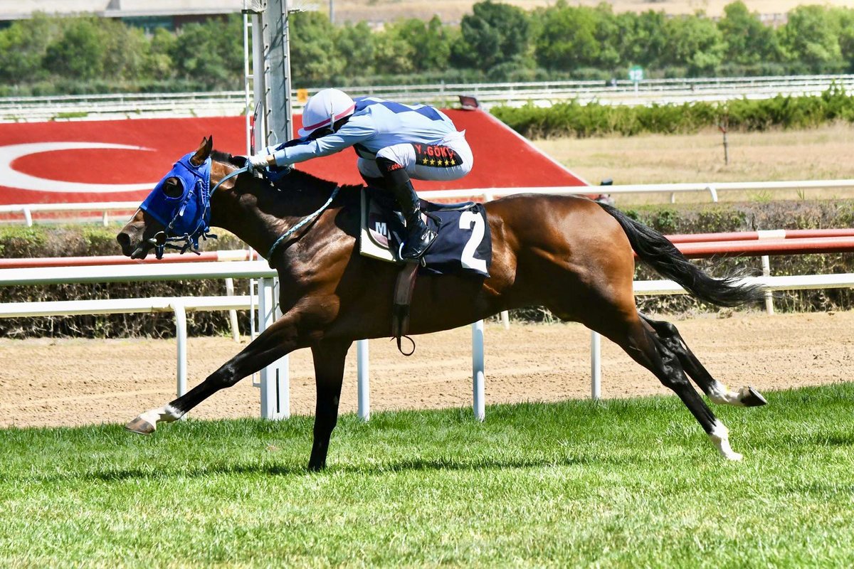 Yiigiitgkc_'s tweet image. Bugün Ankara’da çıktığım iki yarışımı da kazanarak, bu pistte iki yarışta iki birincilik elde ettim. 🏆✨ İlk kez çıktığım Ankara pistinde bu başarıyı yaşamak benim için çok özeldi .
Destekleri için Sait Kan ve Şefik Aydemir’e teşekkür ederim. 🙏#ahmetgökçe#