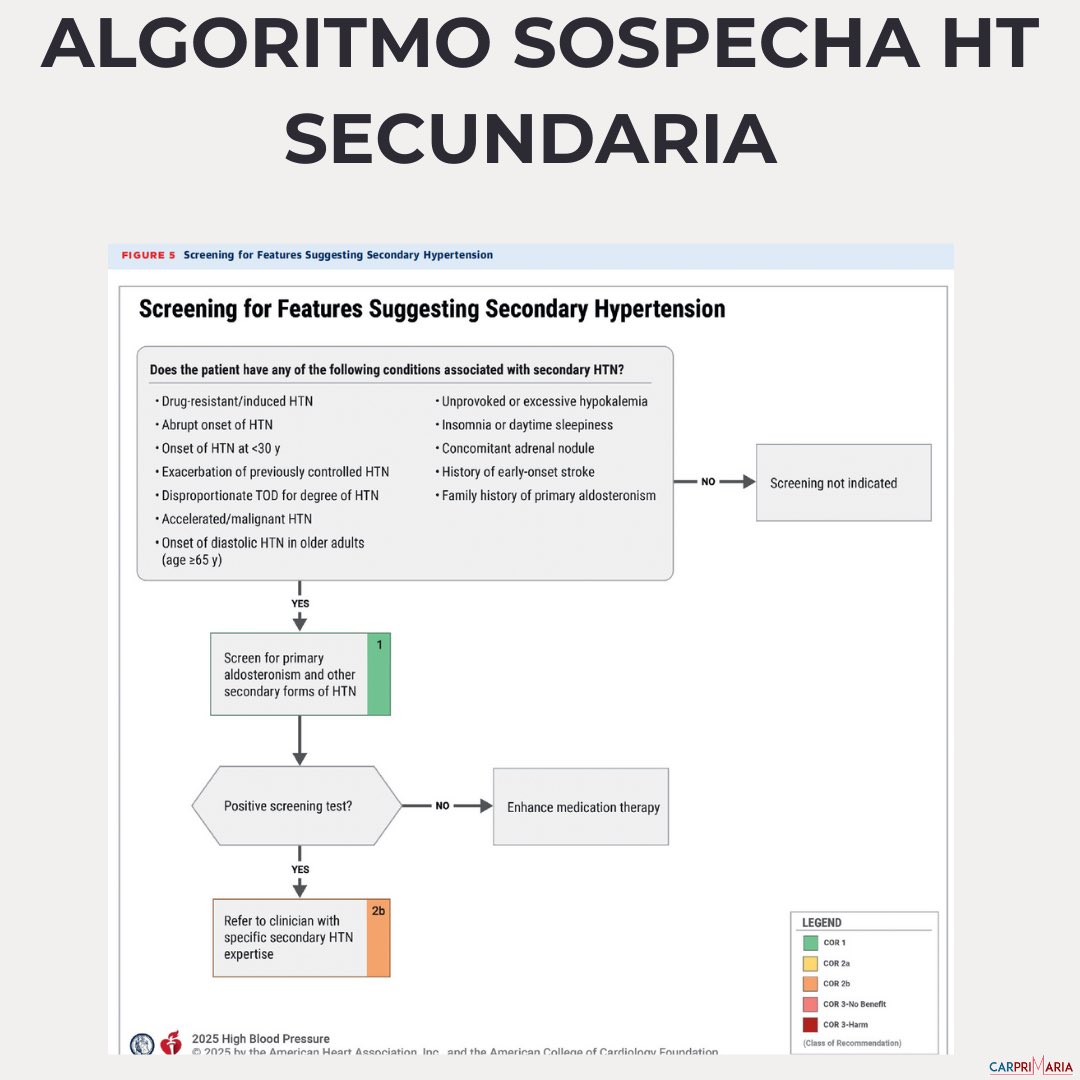 CARPRIMARIA tweet media